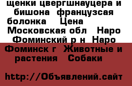 щенки цвергшнауцера и бишона (французсая болонка) › Цена ­ 25 000 - Московская обл., Наро-Фоминский р-н, Наро-Фоминск г. Животные и растения » Собаки   